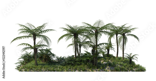 Tropical plant garden on a transparent background
