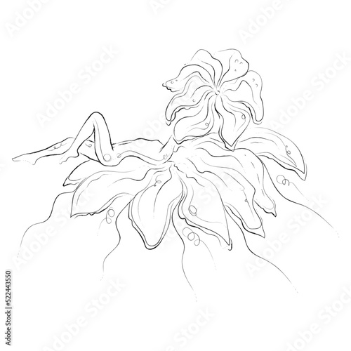 Girl body lines like flower shapes. Digital vector image drawn manually using by graphics tablet. Texture of a charcoal brush. So beautiful.