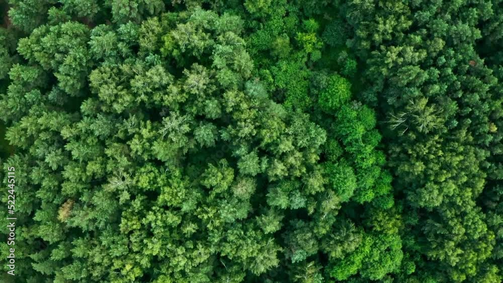 Aerial drone tope view on forest and lake in the countryside. Forest and lake top view. Summer leisure time. Garden trees. Aerial drone tope view on forest and lake in the countryside. Forest and lake top view. Summer leisure time. Garden trees.