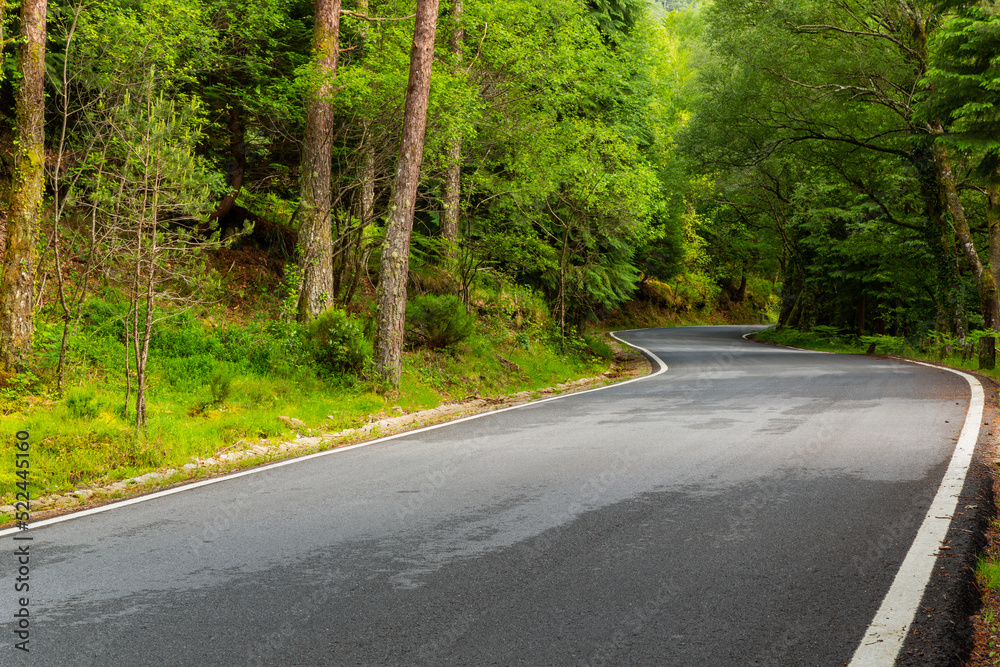 Fototapeta premium Spring landscape with road