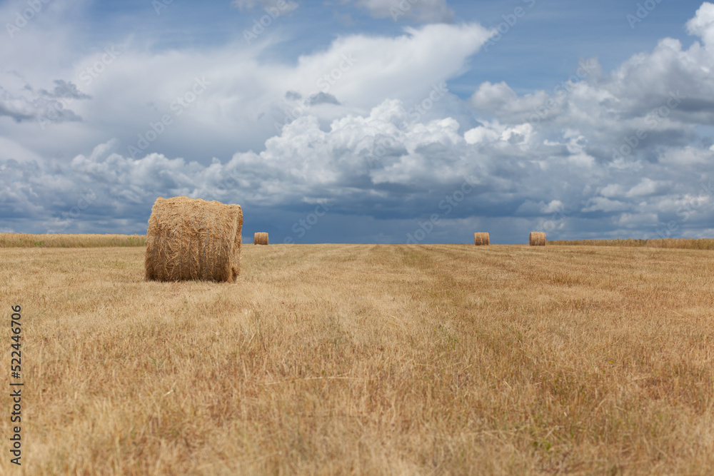 Hay bales in the field under the cloudy blue sky