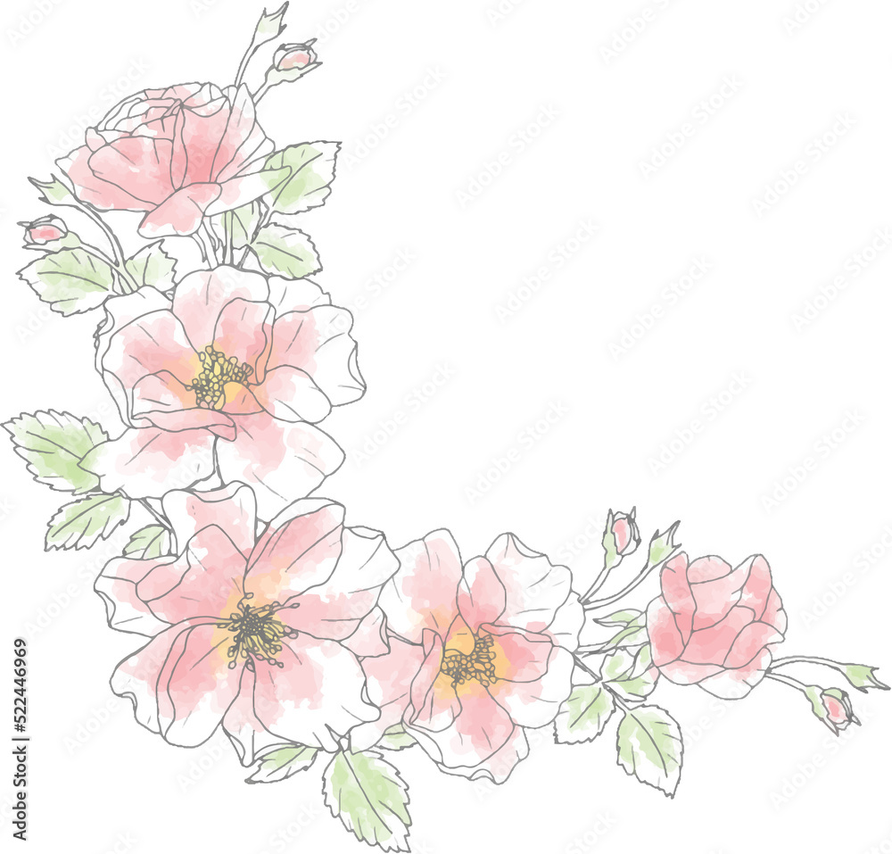 loose watercolor doodle line art rose flower bouquet elements
