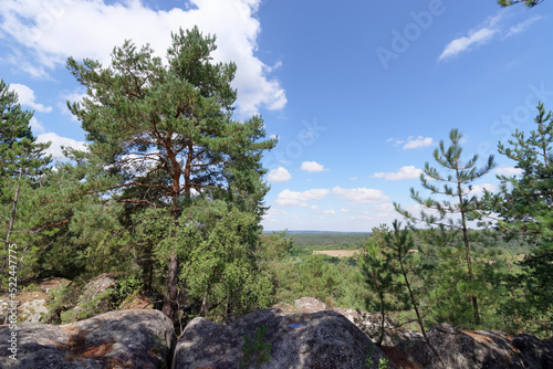 Rock of the Queen panorama in Fontainebleau forest