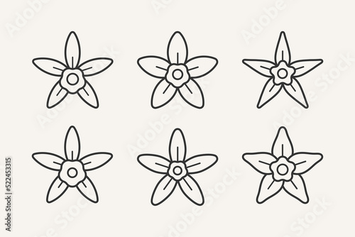 The flower of vanilla. Contour vector illustration for cosmetics, perfumeries, logo and badge.