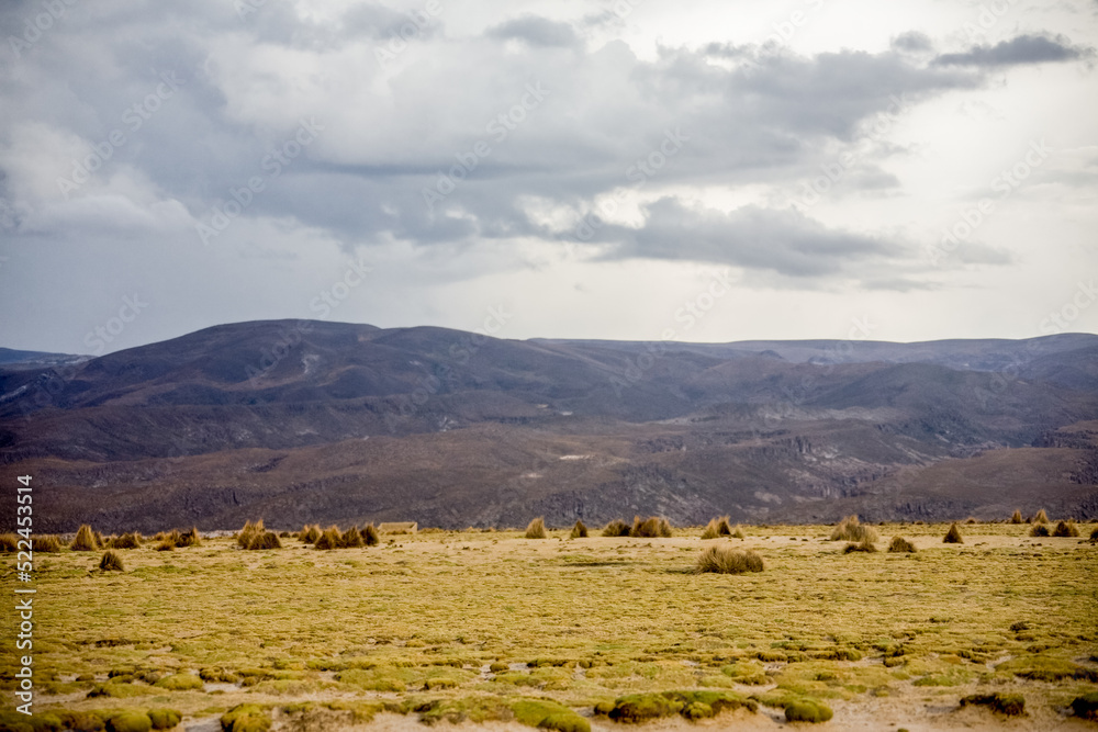 Desert and mountains of Bolivia. Landscapes of the LaPaz - Uyuni Road Desert and mountains of Bolivia. Landscapes of the LaPaz - Uyuni Road