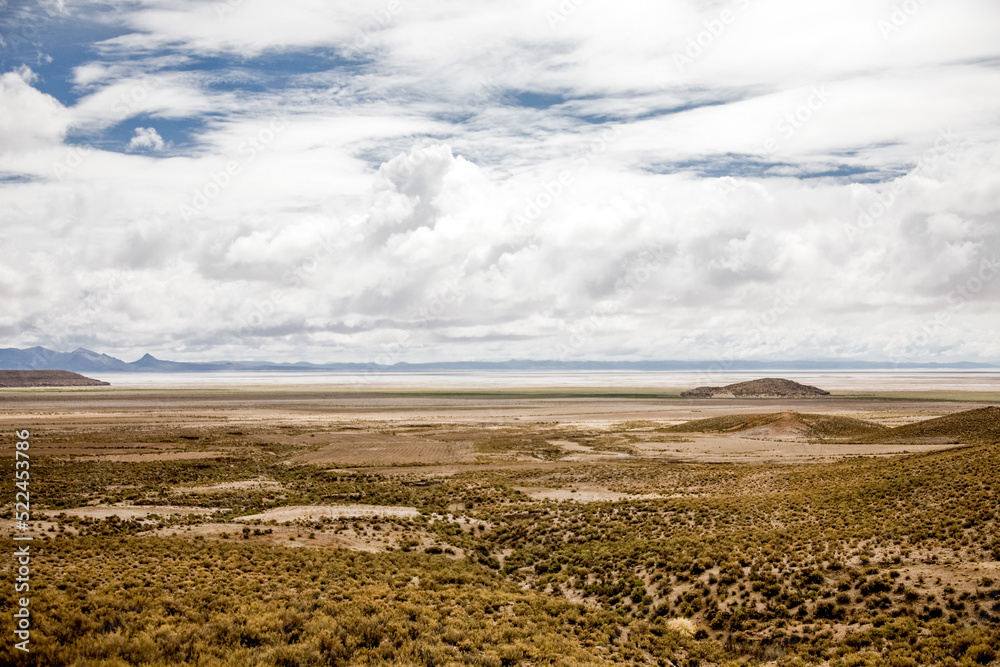 Landscape of Bolivia prairie. Nature of Altiplano, South America