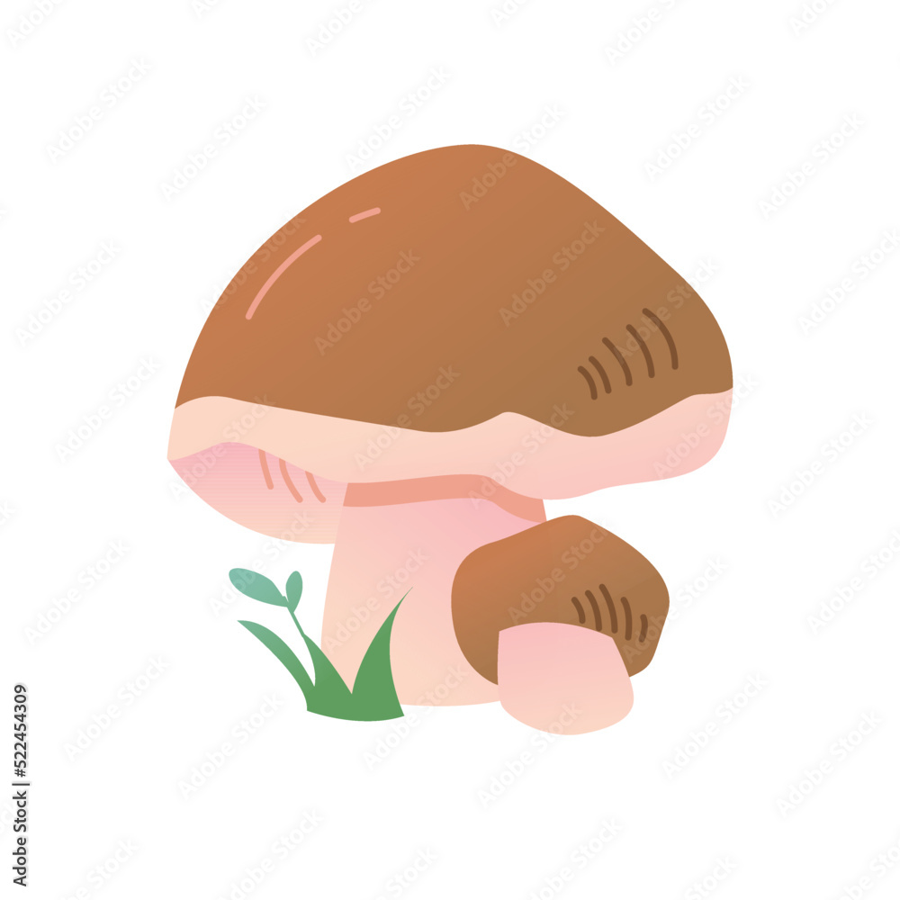White mushroom isolated on a white background. Vector illustration in cartoon style. White mushroom isolated on a white background. Vector illustration in cartoon style.