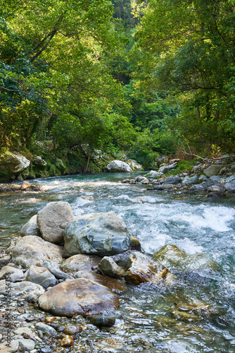 The Lao River flows through Calabria and Basilicata, Italy. It is part of the Pollino nature reserve which has been recognized by Unesco. There are also canyons there. River with stones in foreground.