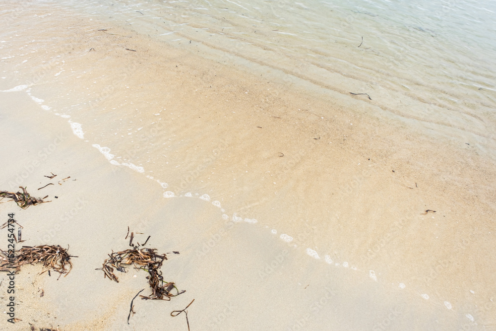 Blue sea wave background on sandy beach with seaweed, travel concept Blue sea wave background on sandy beach with seaweed, travel concept