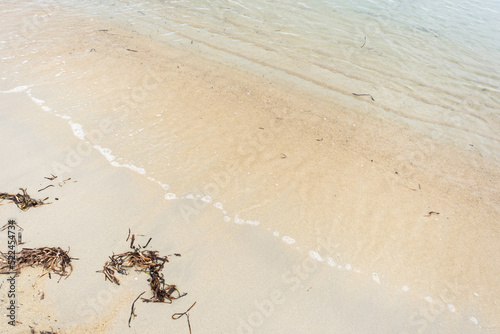 Blue sea wave background on sandy beach with seaweed  travel concept