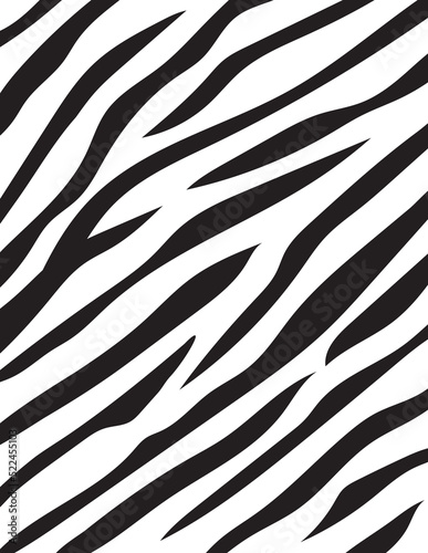 Black and White Zebra Background