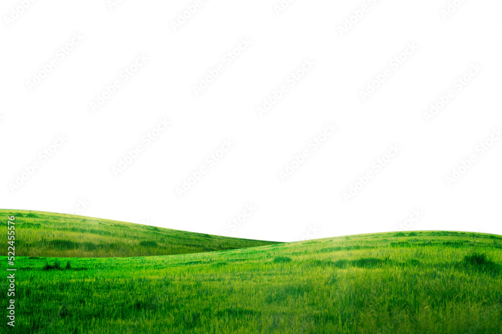 green grass hill isolated - obrazy, fototapety, plakaty 