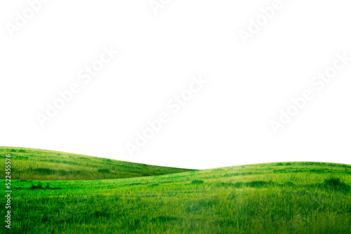 Fototapeta green grass hill isolated