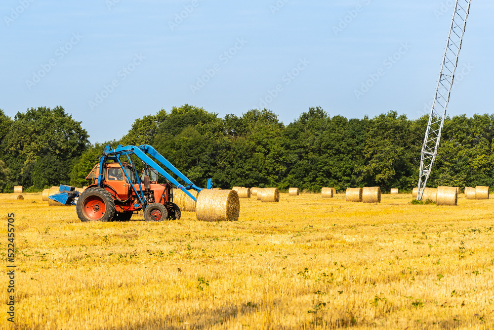 Fototapeta premium Rolls with straw under VL-750. Straw bales on universal forks mounted on Belarus tractor. Blurred background. Collection of hay bales in place for transportation. Smolenskaya, Russia - July 16, 2022