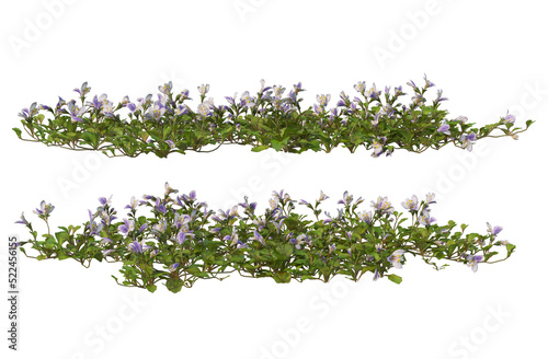 Fototapeta Naklejka Na Ścianę i Meble -  Flowers on a transparent background