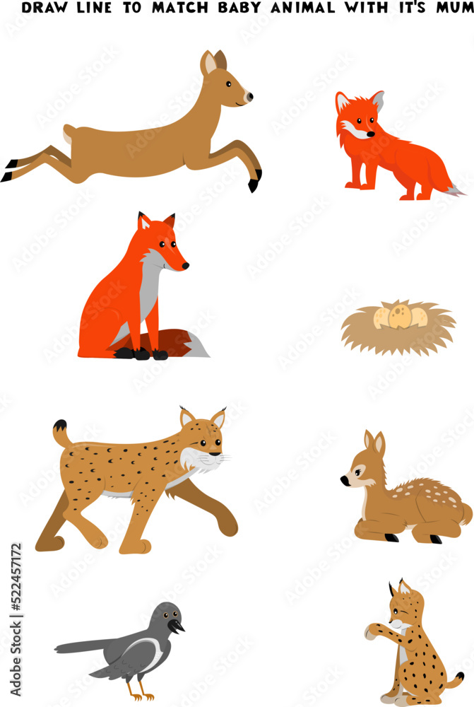 Obraz premium Draw line from mother to baby cute cartoon vector illustration with forest animals. Activity page for kids. . Matching game for children.