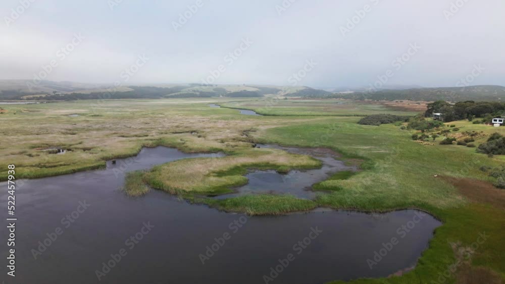 vertical pan with drone over marshland