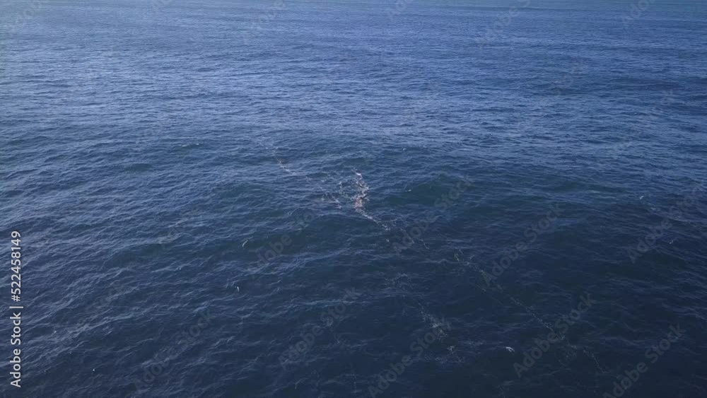 Dark blue ocean water. Aerial drone view of the Pacific Ocean open water Dark blue ocean water. Aerial drone view of the Pacific Ocean open water
