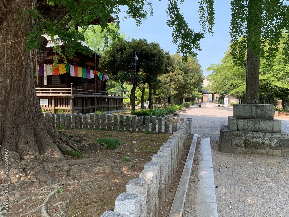 Fototapeta premium 鑁阿寺の多宝塔
