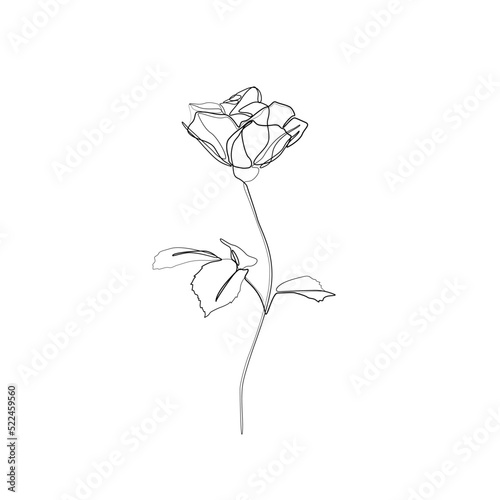 Rose continuous line drawing, tattoo, print for clothes and logo design, decorative flower silhouette single line on a white background, isolated vector illustration.
