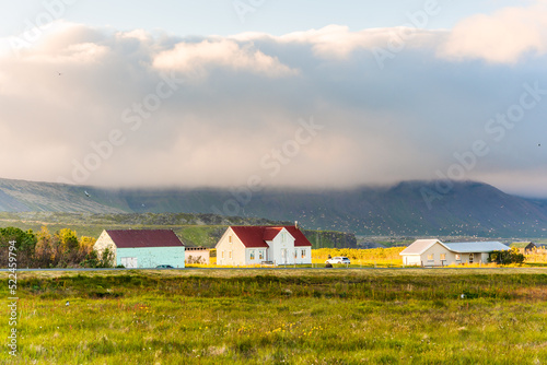 Icelandic wooden house glowing with sunlight on meadow and bird flying around in sunset on summer at Arnarstapi fishing village, Iceland photo