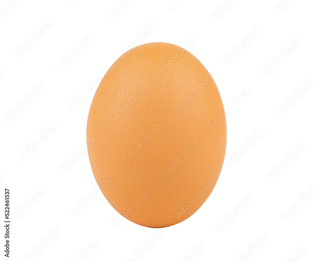 Chicken egg