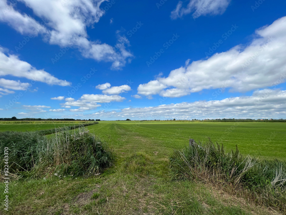 Farmland around Akmarijp in Friesland