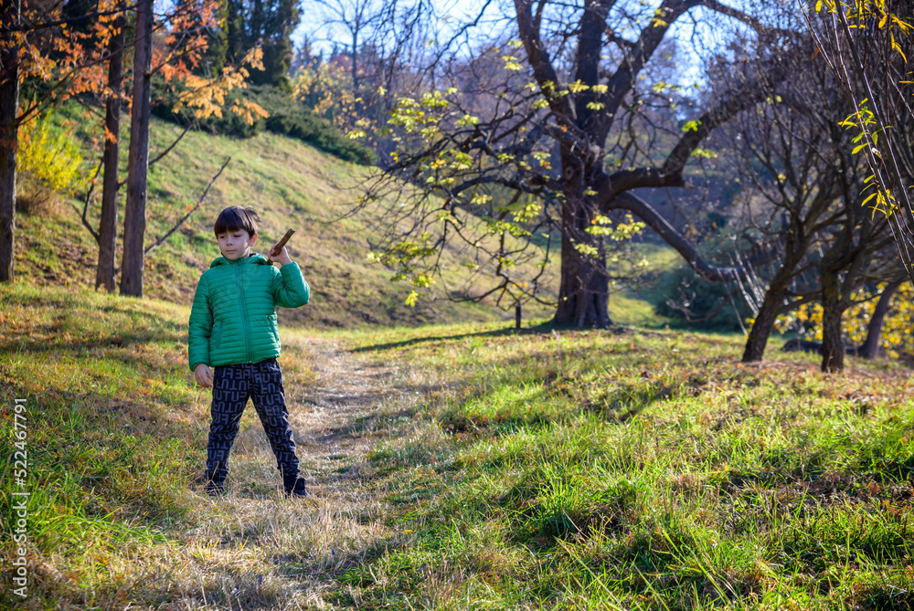 The boy was lost in the forest looking for a way home, the child The boy was lost in the forest looking for a way home, the child