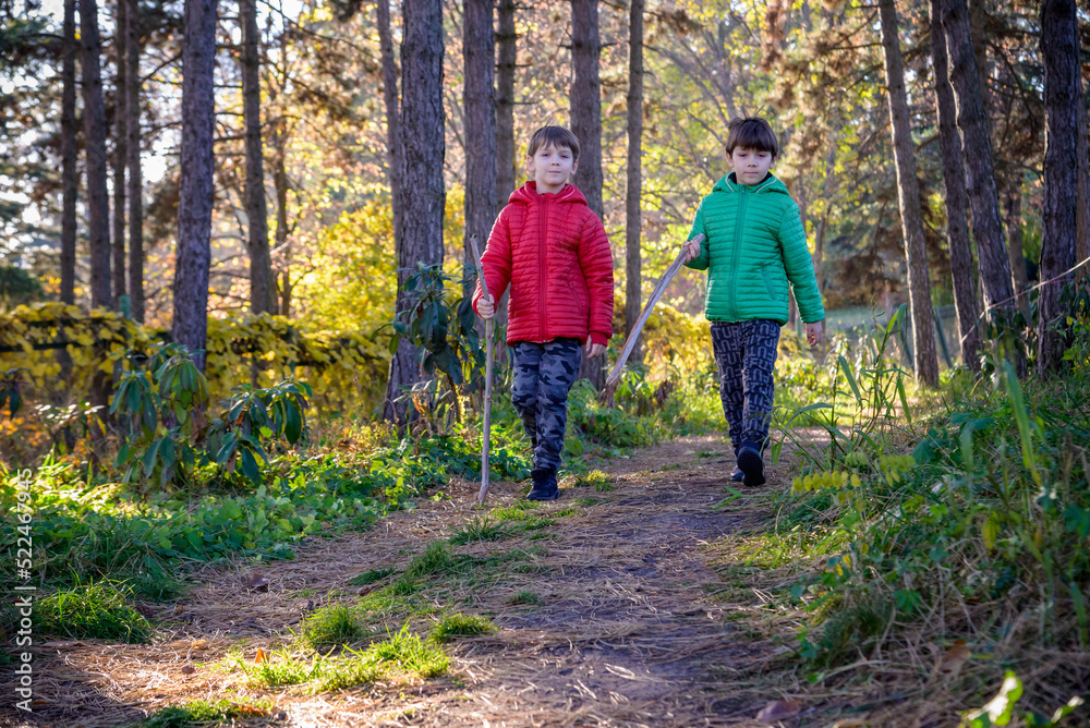 Two boys are running in the autumn forest. Two sibling brother b Two boys are running in the autumn forest. Two sibling brother b