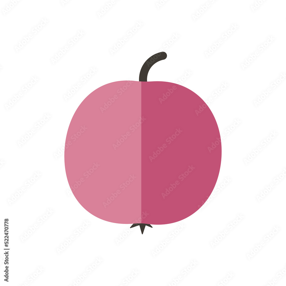 Obraz premium fruit vector rose apple isolated