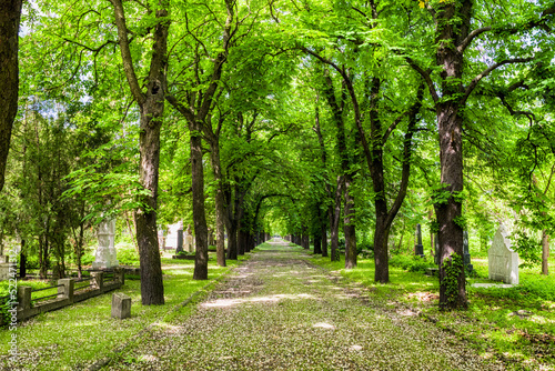 Photography Kerepesi - historic cemetery in Budapest, Hungary