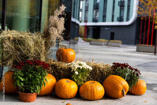 Fototapeta Naklejka Na Ścianę i Meble -  Halloween street decoration. Tiny orange pumpkins hanging on the rope. Florist's daisy flowers in a bucket. Autumn outdoor decorations made of pumpkins and flowers.