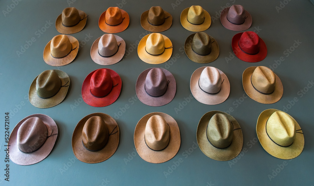 Colourful trilby hat collection, displayed on a wall. A multi coloured  selection of Trilby hats also known as the Fedora hat, as worn by Frank  Sinatra. selective focus. Bright colourful display Stock
