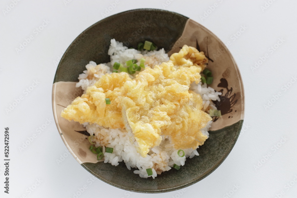 Japanese food, eel deep fried Anago Tempura on rice Japanese food, eel deep fried Anago Tempura on rice
