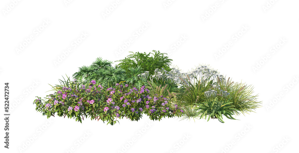 Fototapeta premium Flower garden on transparent background