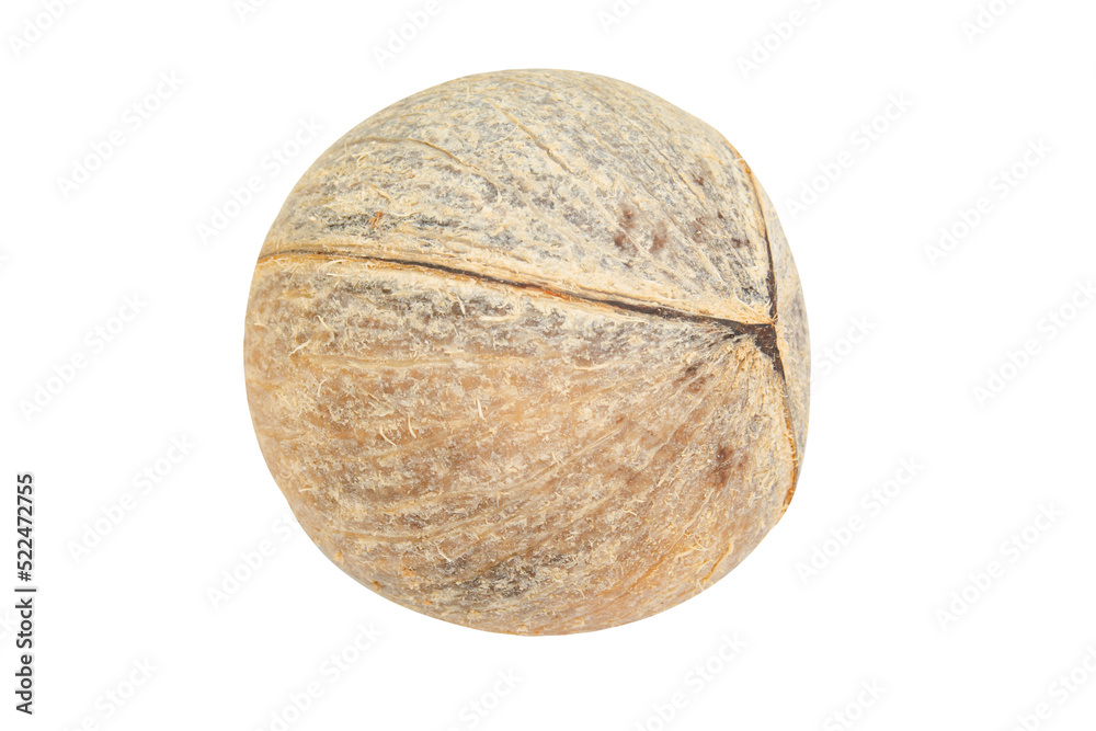 Pieces of coconut isolated on white background with clipping path Pieces of coconut isolated on white background with clipping path