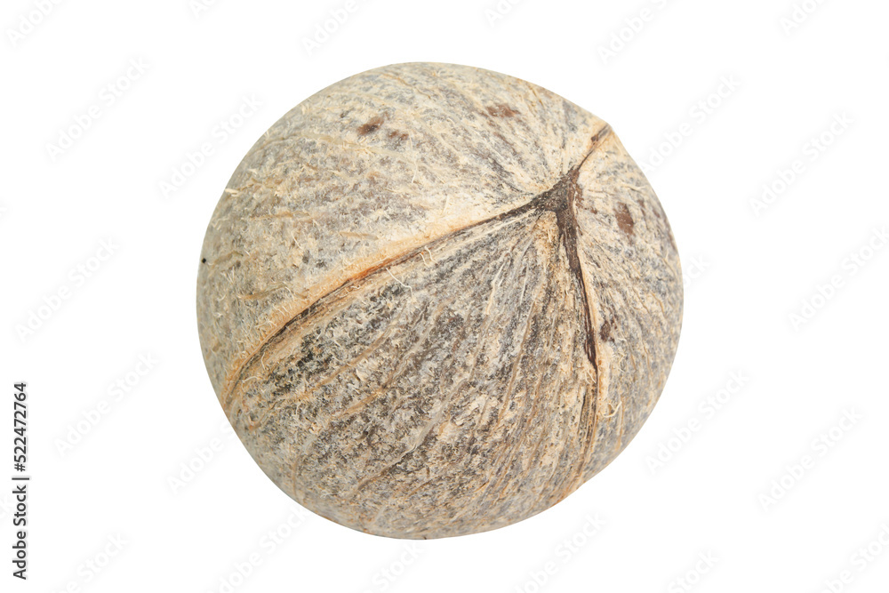 Fototapeta premium Pieces of coconut isolated on white background with clipping path