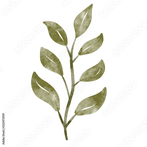 leaf in watercolor