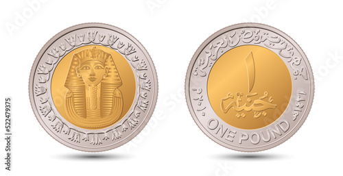 Reverse and obverse of Egyptian one pound coin in vector illustration.