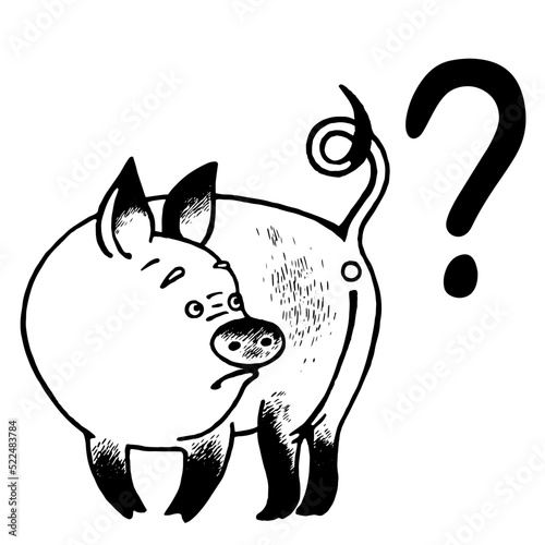 Funny pig with question mark