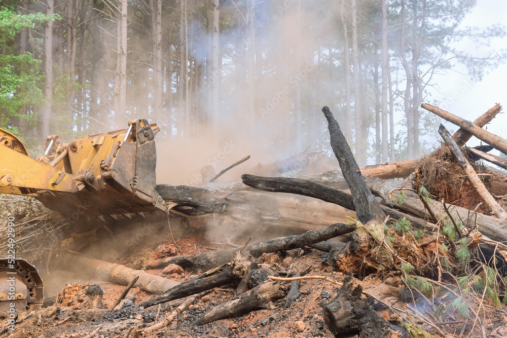 An attempt to develop land for new building, in which be bulldozed heavy equipment will be used, is uprooted and burned during forest the environmental problem An attempt to develop land for new building, in which be bulldozed heavy equipment will be used, is uprooted and burned during forest the environmental problem