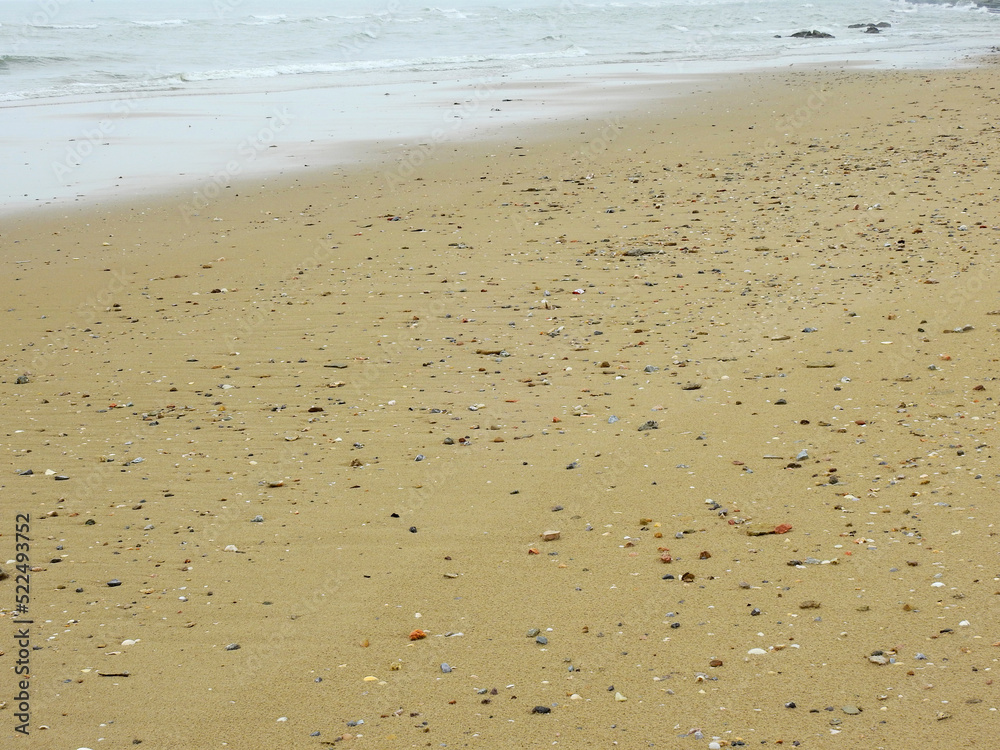 sand beach with shells and gravel after low tide sand beach with shells and gravel after low tide