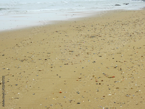 sand beach with shells and gravel after low tide