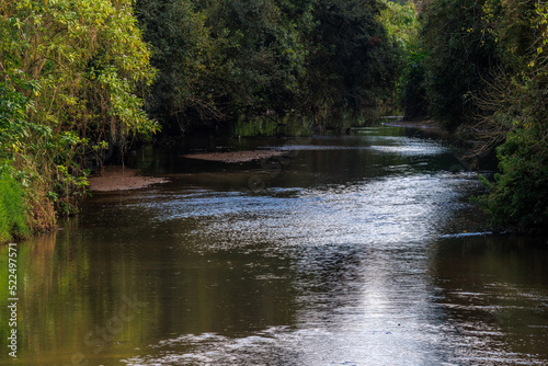 A river flowing thru the rainforest in an urban park
