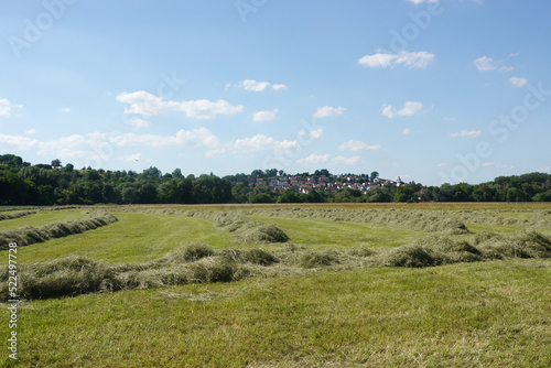 Fresh grass hay in fields, summer in Germany