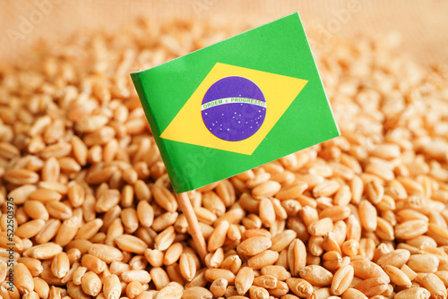 Brazil on grain wheat, trade export and economy concept.