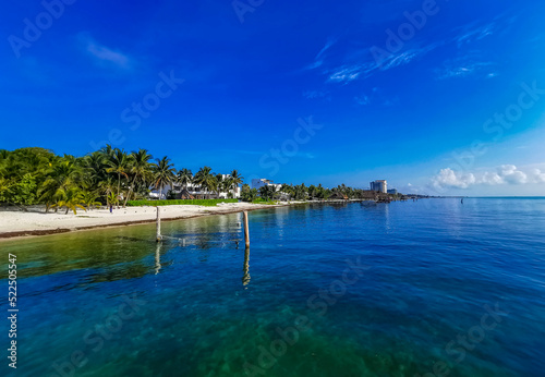 Playa Azul beach palm seascape panorama in Cancun Mexico. © arkadijschell
