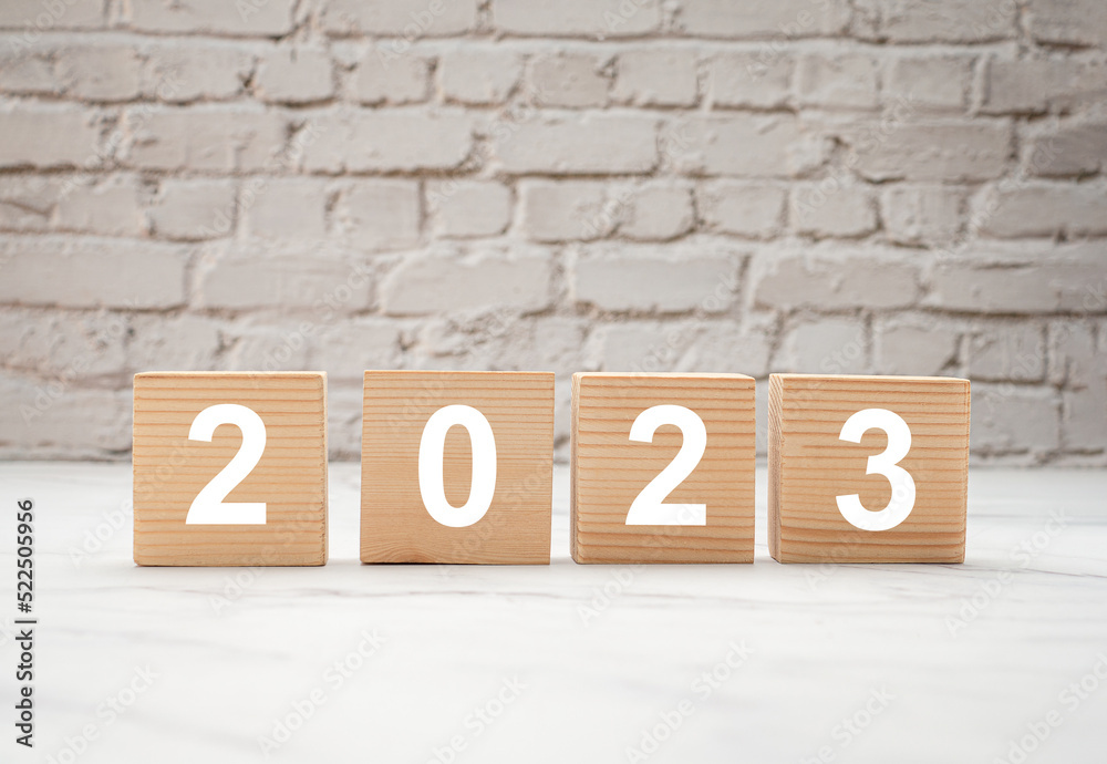 Plan to 2023. Wooden cubes with the letters 2023 with a white brick wall background Plan to 2023. Wooden cubes with the letters 2023 with a white brick wall background