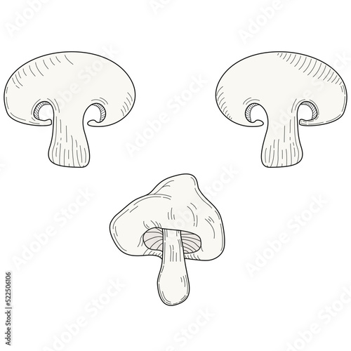 Mushroom Vector Retro Vintage Style Isolated