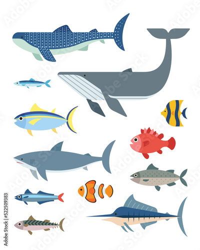Fototapeta Naklejka Na Ścianę i Meble -  Flat style sea ocean fish set vector illustration